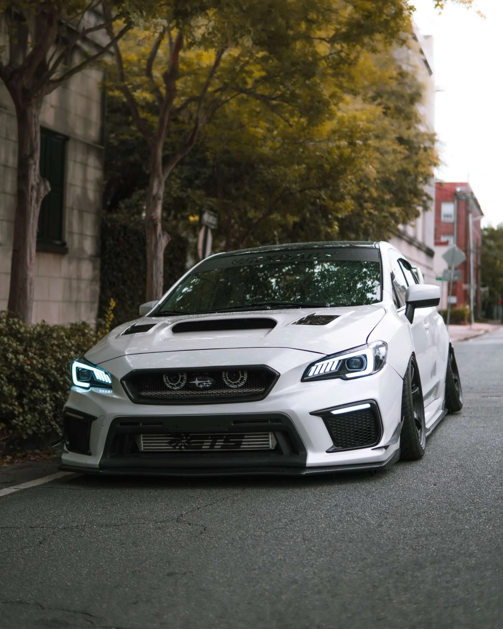 MSP Carbon Fiber Front Grille 2018-2021 WRX / 2018-2021 STI - Image 4